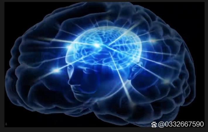 揭秘娱乐圈「造星工厂」:从练习生到顶流的真实成本 每日大赛吃瓜深度解读 - 揭秘娱乐圈「造星工厂」:从练习生到顶流的真实成本